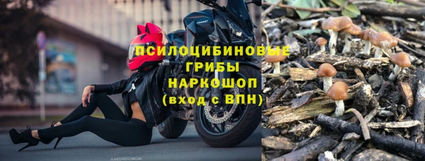 амф Кулебаки