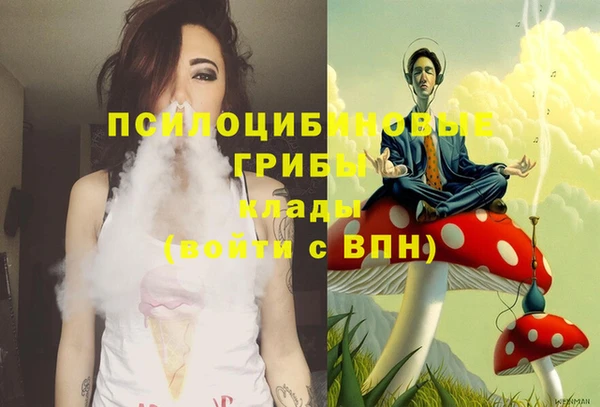 spice Ладушкин