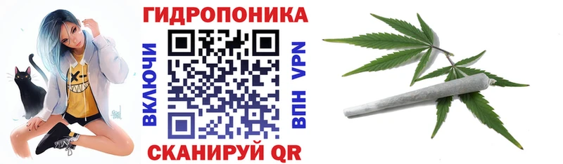 МАРИХУАНА семена  Кировград 
